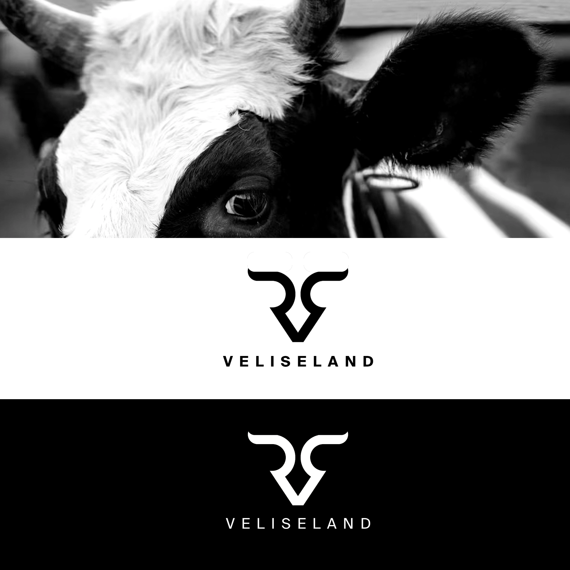 VELISELAND